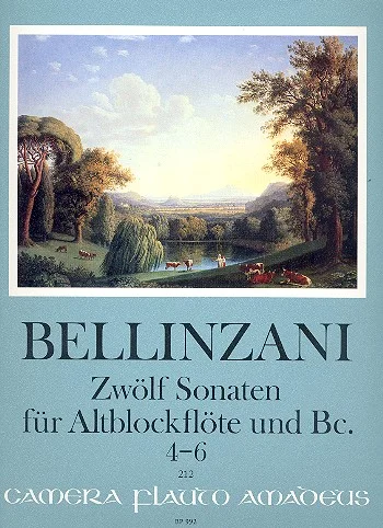 klavierhaus-bockelmann-4672193