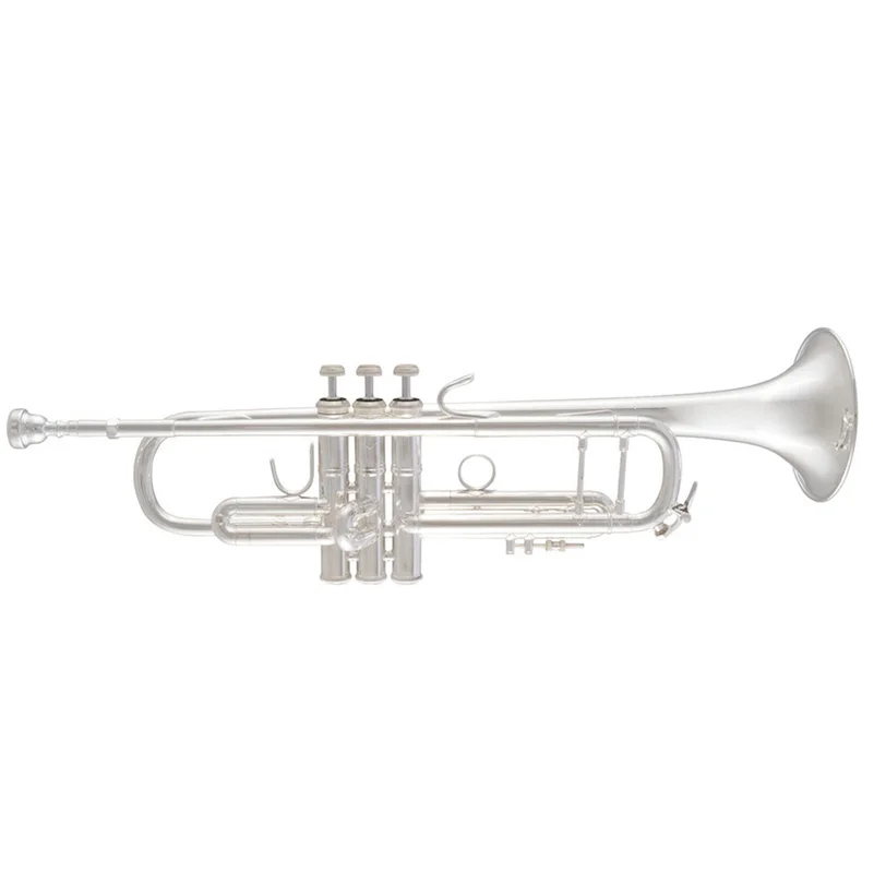 musik-wittl319108