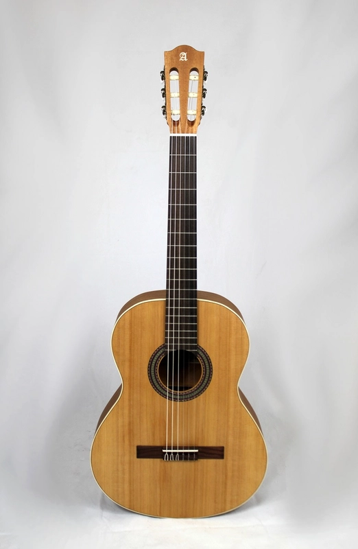 musik-wittl333624