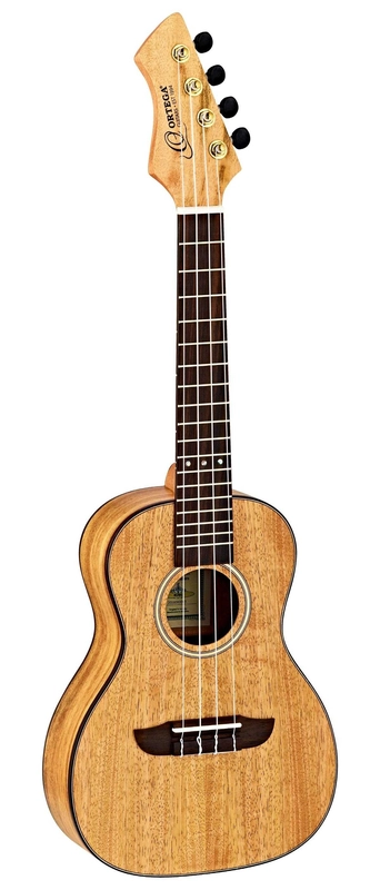 musik-wittl351565