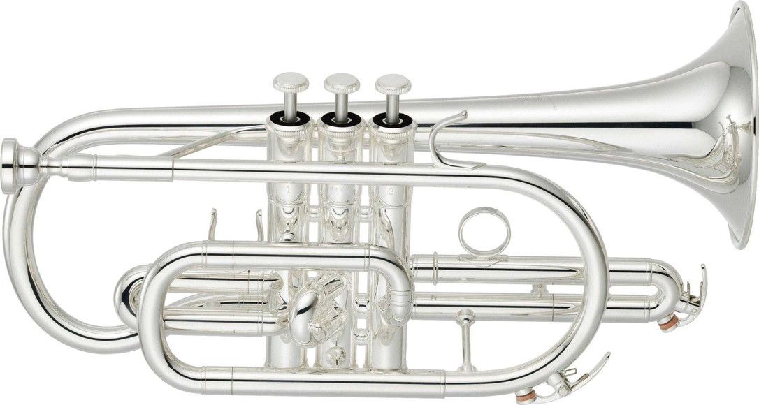 musik-wittl360224
