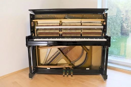 musik-wittl374869