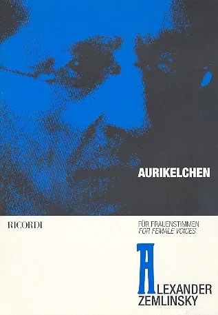 reisser-musik-11806234