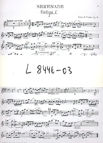 reisser-musik-21467716