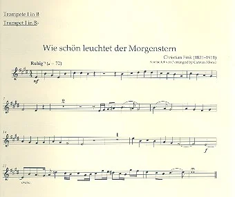 reisser-musik-21783485