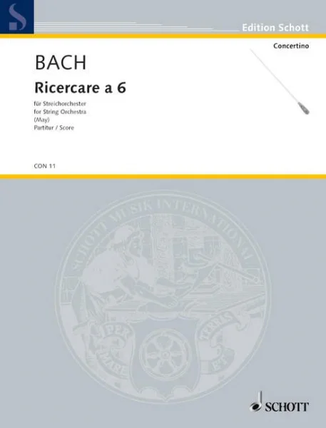 reisser-musik-2816374