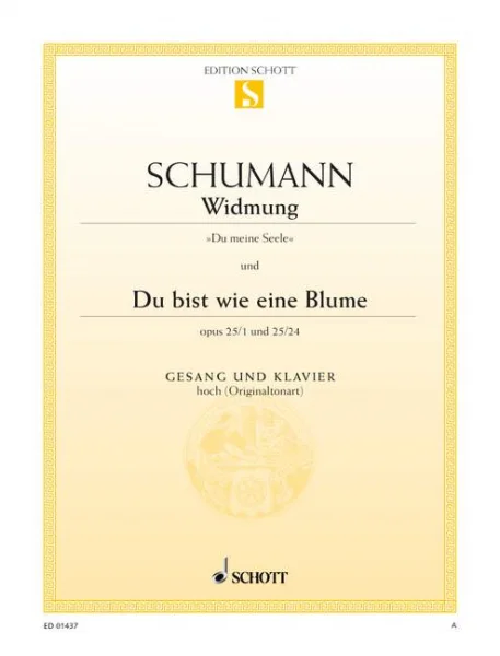 reisser-musik-2886133