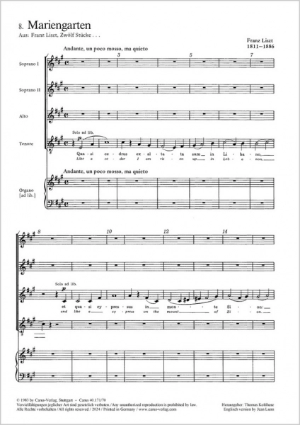 reisser-musik-2972555