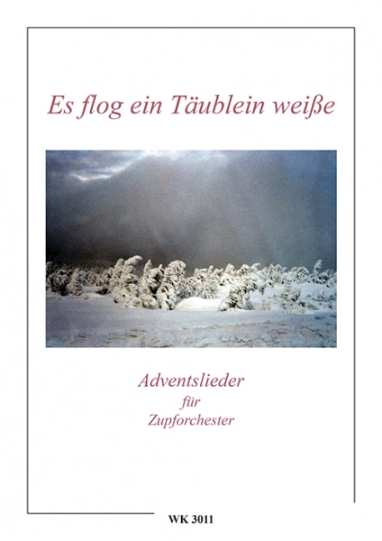 reisser-musik-31038051
