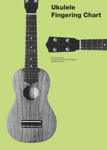 reisser-musik-31280443