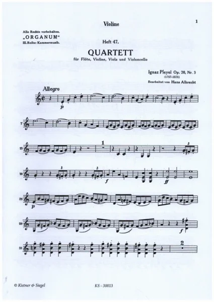 reisser-musik-31449476