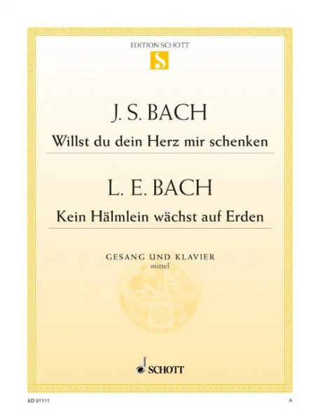reisser-musik-31477052