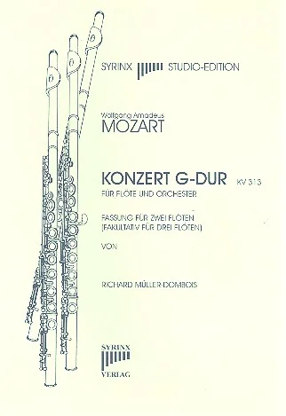 reisser-musik-3539317