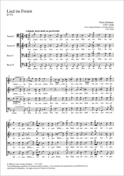 reisser-musik-41353162