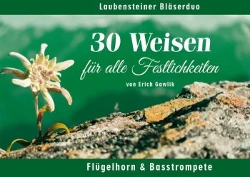 reisser-musik-41744571