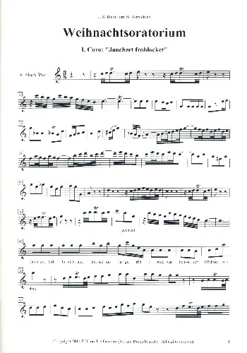 reisser-musik-51487291