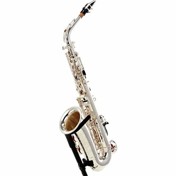 thomann-1837549