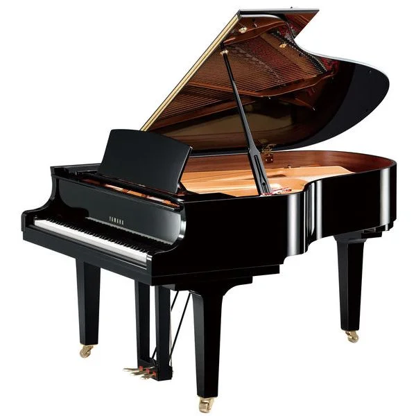 thomann-1869261