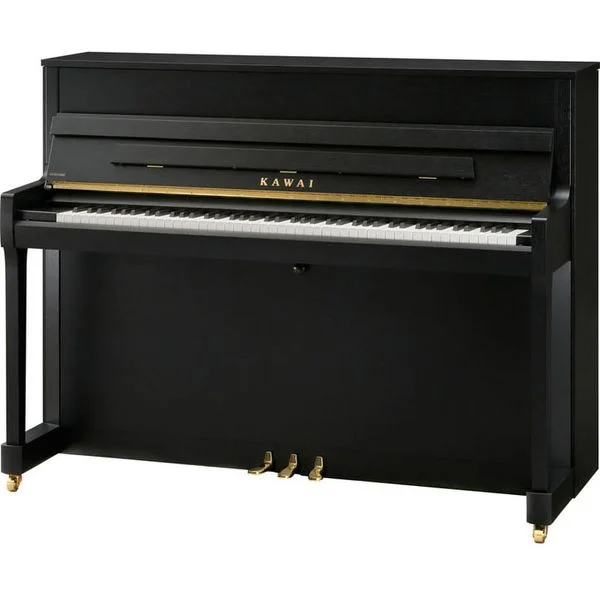 thomann-1874338