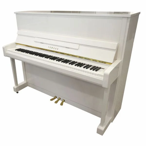 thomann-1876840