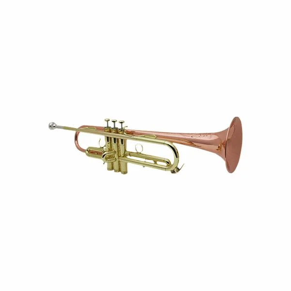thomann-1883487