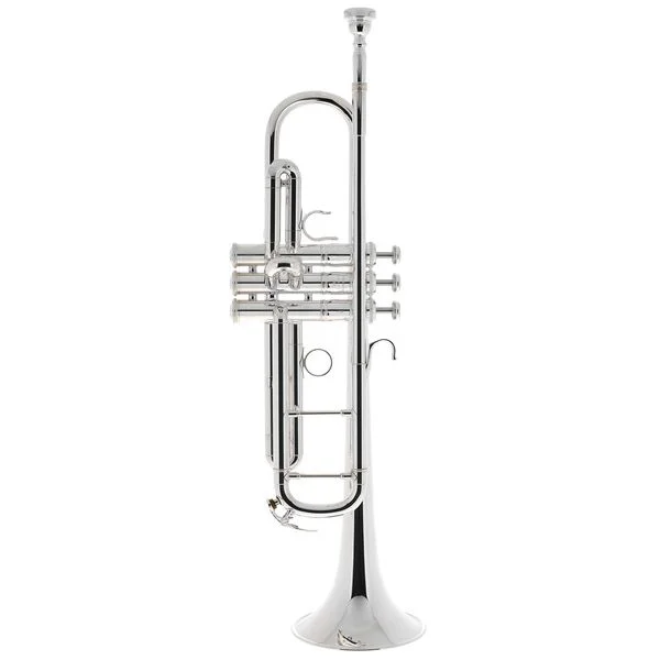 thomann-3273231