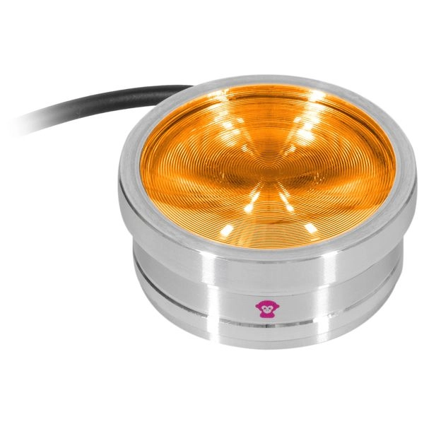 thomann-3504040