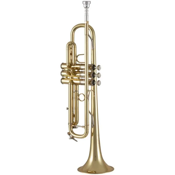 thomann-3730824